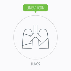 Lungs icon. Transplantation organ sign.
