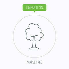 Maple tree icon. Forest wood sign.