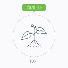Plant with leaves icon. Agriculture sign.