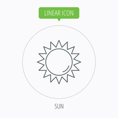 Sun rays icon. Summer sign.
