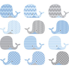 Naklejka premium Blue and Grey Cute Whale Collections