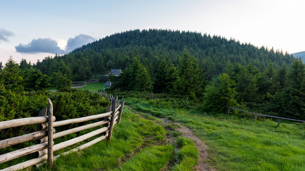 Dirt road through the mountain wood, Carpathians