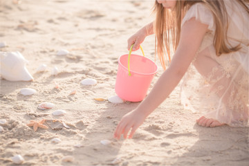Girl collecting seashells in a bucket