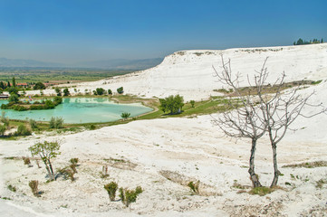 view of pamukkale city with dry tree at front