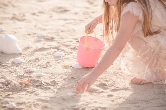 Girl collecting seashells in a bucket