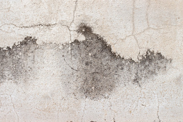 old brick wall background