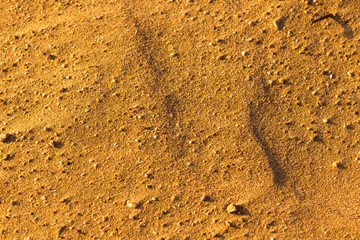 Desert sand pattern texture