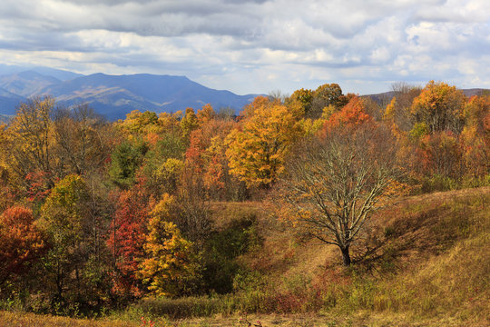View from Max Patch Road in NC