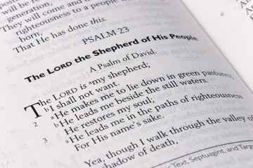 Psalm 23 Scripture Bible Pages