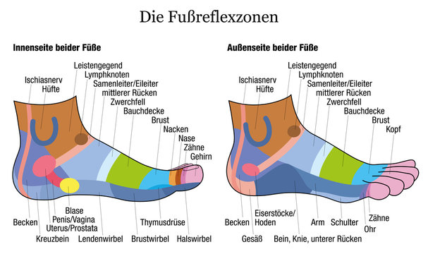 Foot reflexology chart - inside and outside view of the feet - with description of corresponding internal organs and body parts in GERMAN LANGUAGE. Vector illustration on white background.