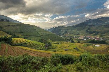Naklejka premium Rice fields on terraced of Mu Cang Chai, YenBai, Vietnam