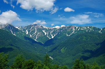 Fototapeta na wymiar 岩岳から眺めた白馬三山