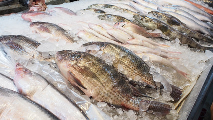 Fresh fish in market