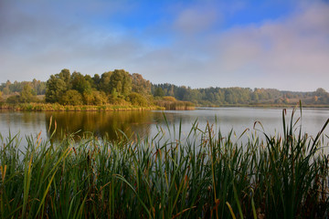 Foggy autumn lake