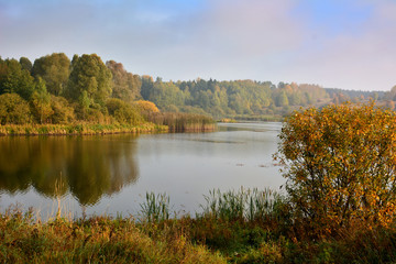 Foggy autumn lake