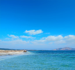 Obraz premium Stintino shoreline under a blue sky