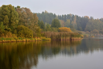 Foggy autumn lake