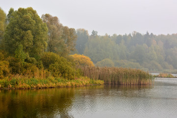 Foggy autumn lake