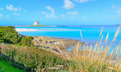 Aragonese tower in La Pelosa beach