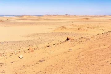 Foto op Plexiglas Sahara desert landscape in the south of Egypt. © Marek Poplawski