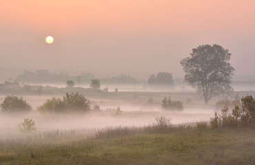 Foggy autumn sunrise