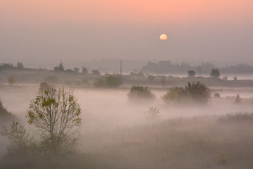 Foggy autumn sunrise
