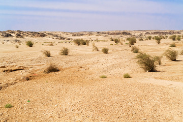 Eastern desert, Sahara in Sudan