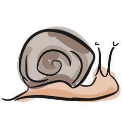 Lumaca