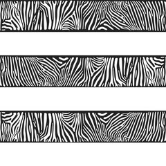 Fototapeta premium Stripes of zebras