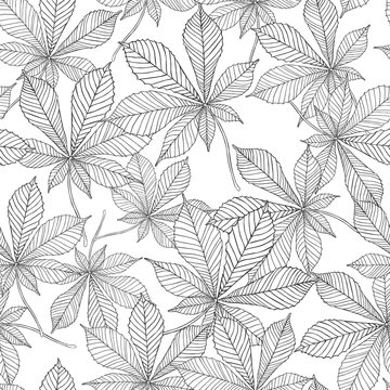 Vector seamless pattern - linear leaves of chestnut. Black on white