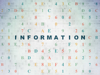 Fototapeta na wymiar Data concept: Information on Digital Paper background