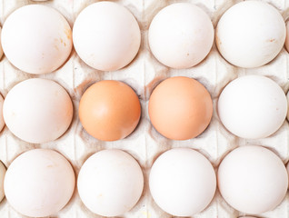 Duck and chicken eggs in carton paper on the top view.