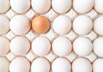 Duck and chicken eggs in carton paper on the top view.