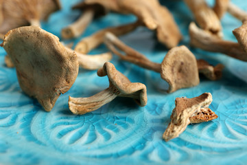 Dried mushrooms on color plate, closeup