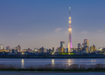Obraz premium Widok na miasto Tokio z Tokio niebo drzewo i rzekę wieczorem
