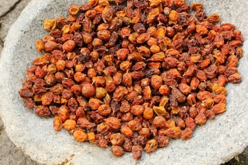 Bright orange and yellow dried sea buckthorn (Hippophae rhamnoides) berries close-up in a grey...