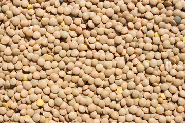 lentils, background