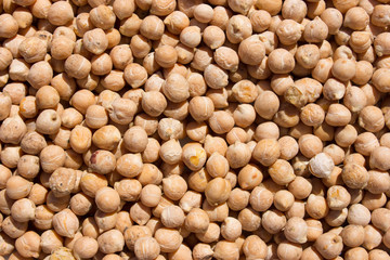 Bunch of chickpeas 
