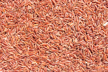 Background Grain brown rice.
