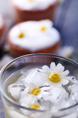 Cup of chamomile tea with chamomile flowers and tasty muffins on color wooden background
