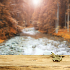 autumn background 
