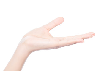 empty female woman hand open