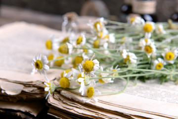 Naklejka na ściany i meble Old book with dry flowers close up
