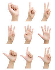Hands set in isolated background.