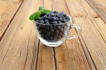 Glass teacup full of fresh wild blueberries with green spring on