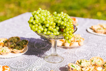 Party table in garden