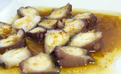 Tacos en salsa gallega