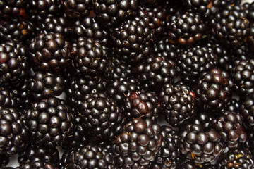 Blackberry