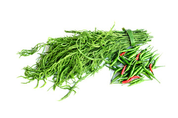 Vegetable garden home
