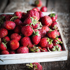 Rural Organic Strawberry in a White Box